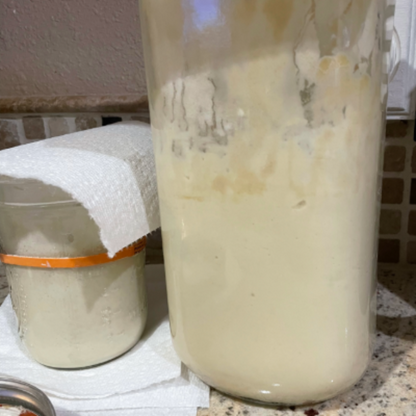 "Henrietta" Sourdough Bread Starter