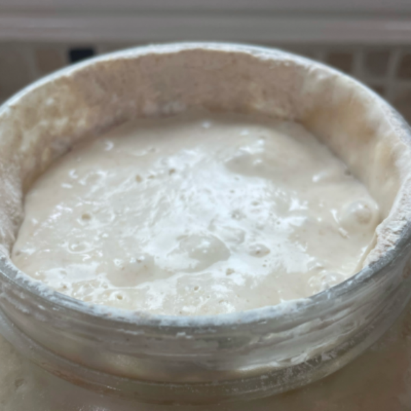 "Henrietta" Sourdough Bread Starter